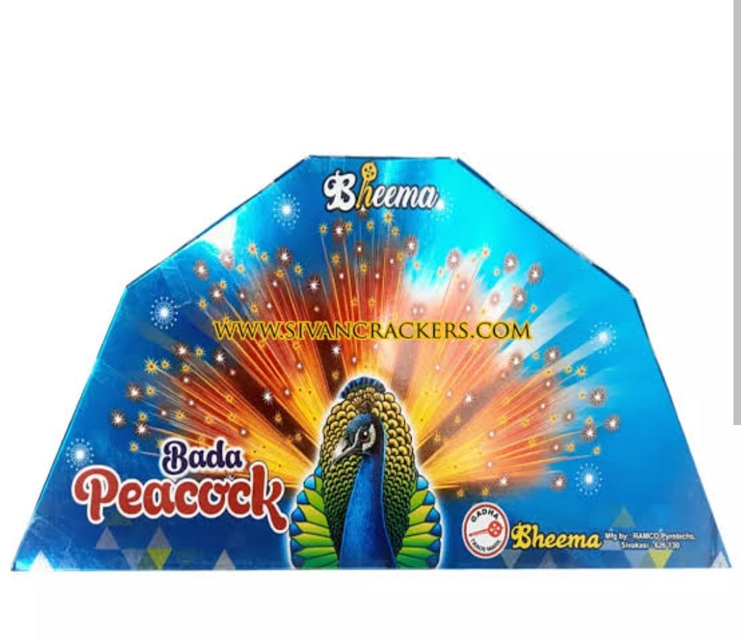 WhatsApp Image 2026-01-01 at 10.09.17 PM